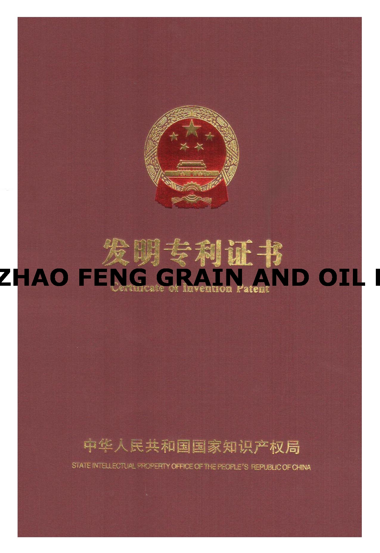 专利封面1.jpg