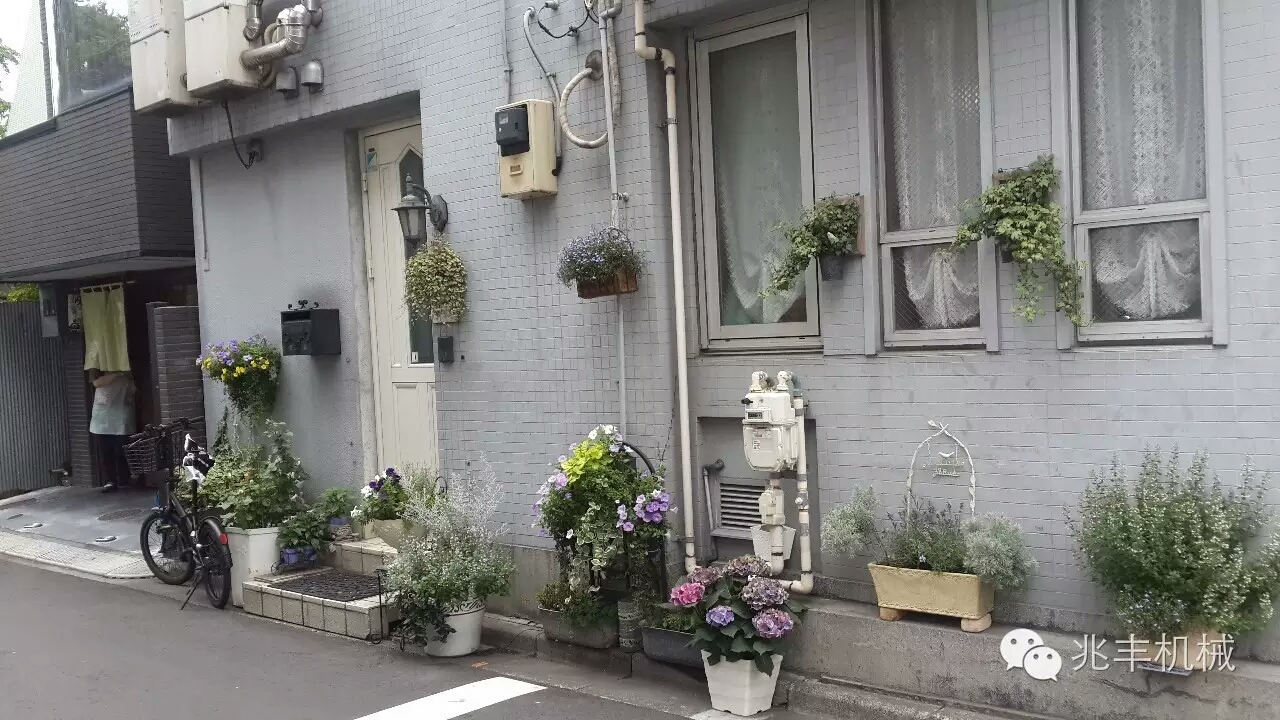 农家院2.jpg