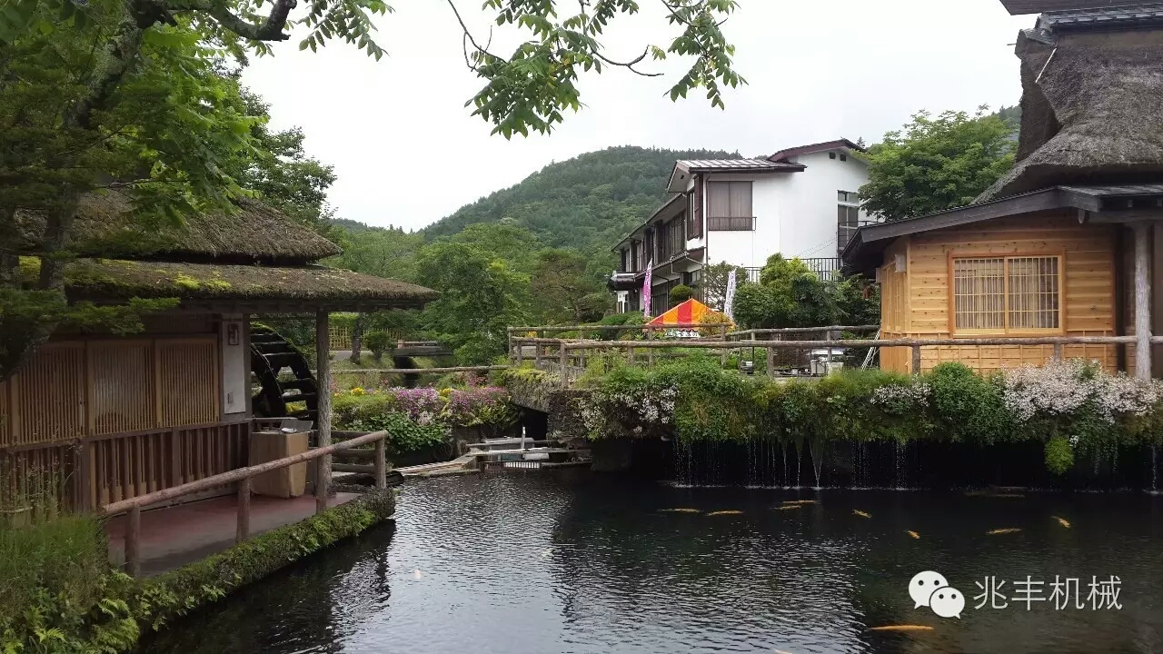 农家院4.jpg