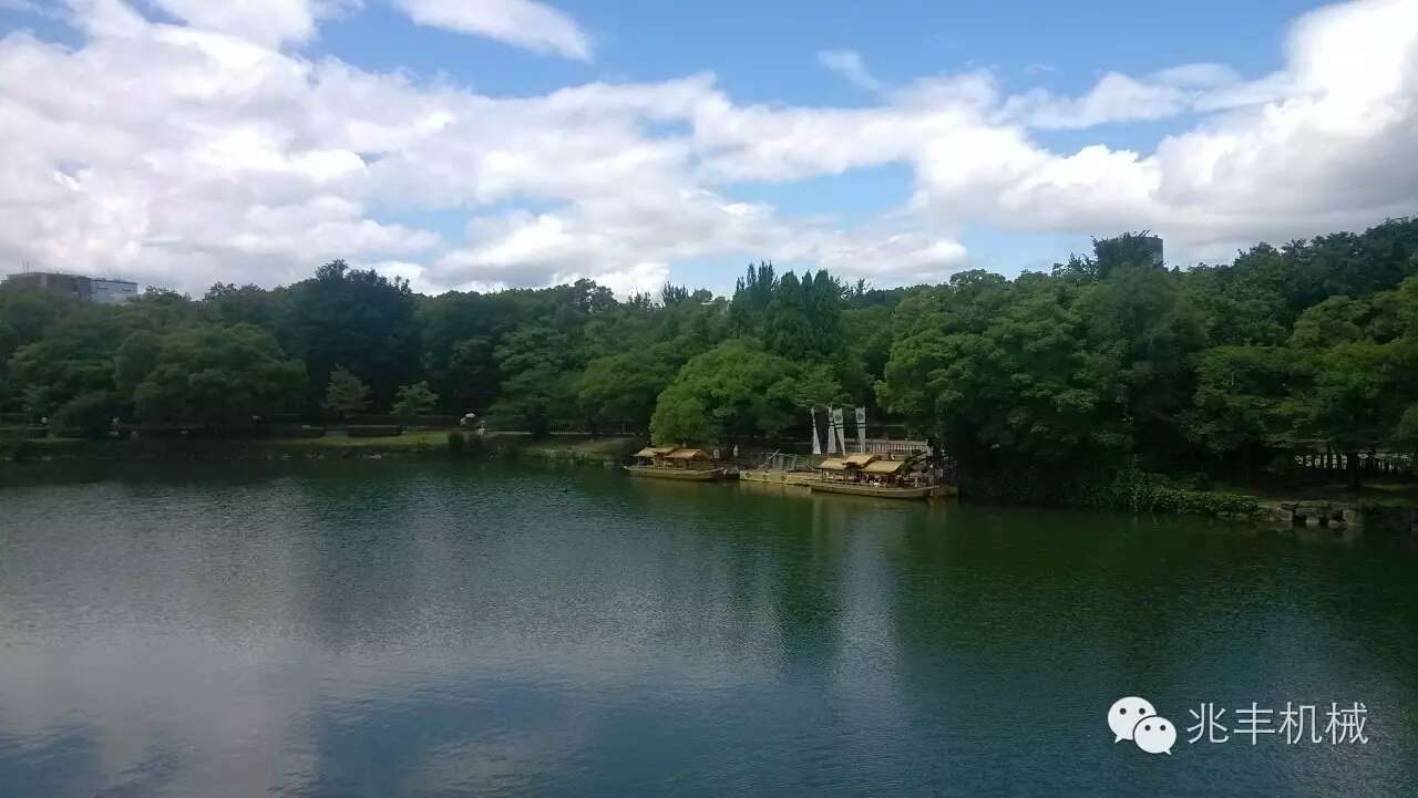 公园1.jpg