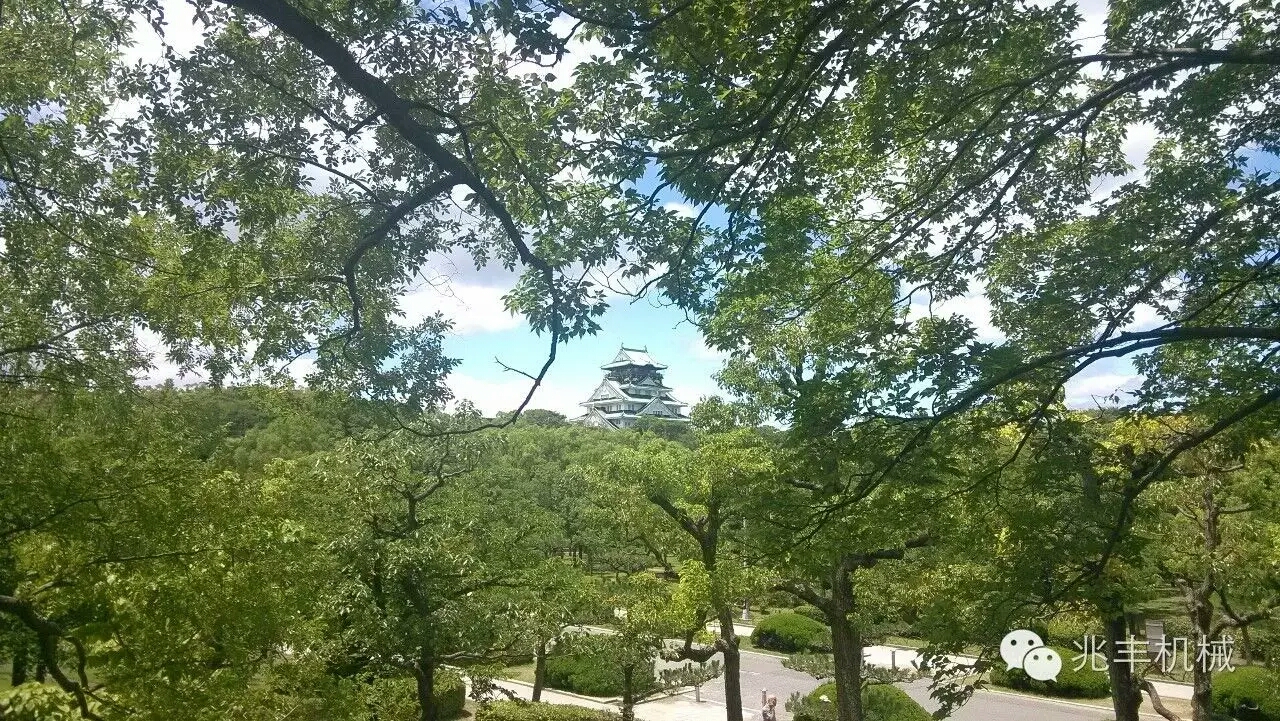 公园.jpg