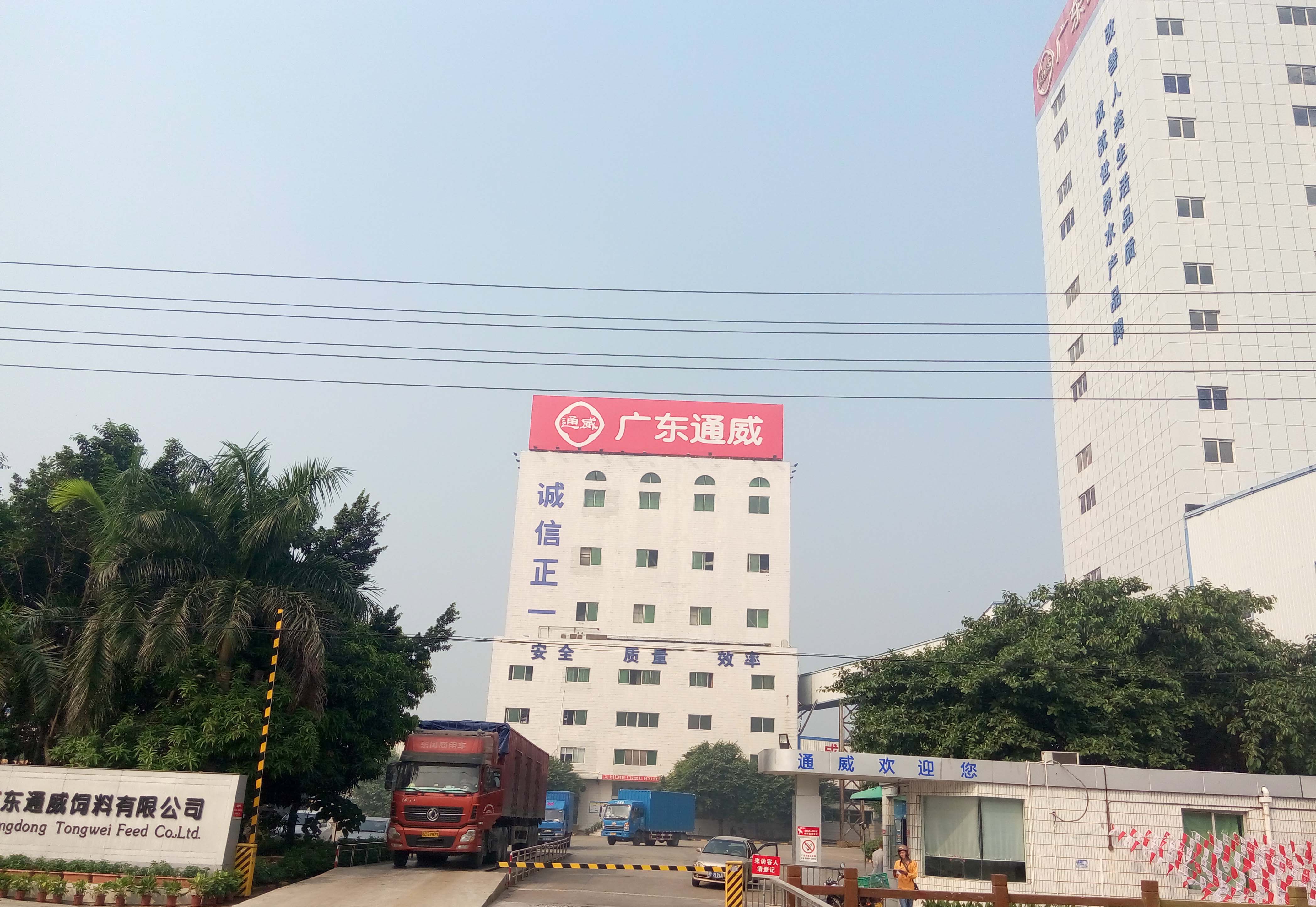 1广东通威.jpg